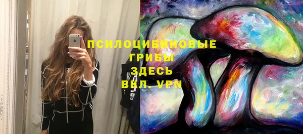 стафф Балабаново
