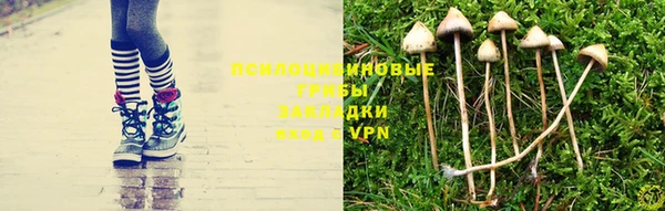 стафф Балабаново