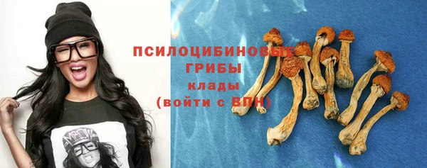 экстази Переславль-Залесский