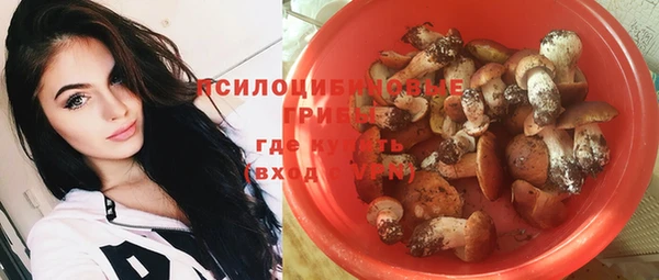 твердый Балахна