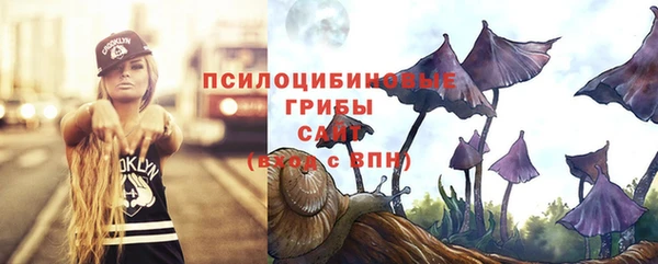 твердый Балахна