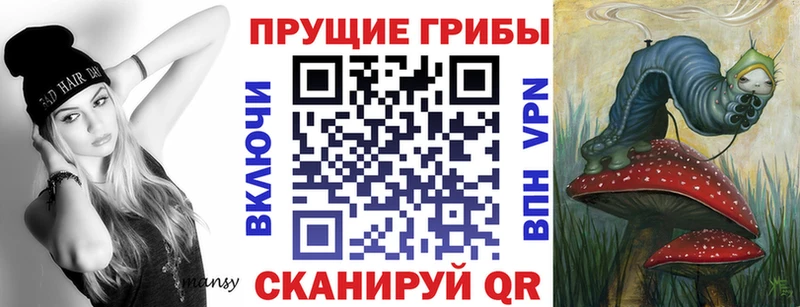 Галлюциногенные грибы Psilocybe  Белозерск 